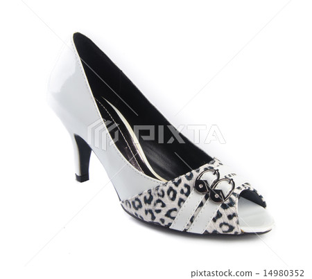 shoes, ladies shoes on background. shoes, ladies shoes on background. 14980352