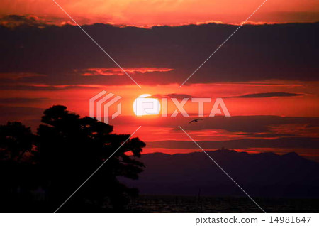 Sunset of Lake Shinji Sunset of Lake Shinji 14981647
