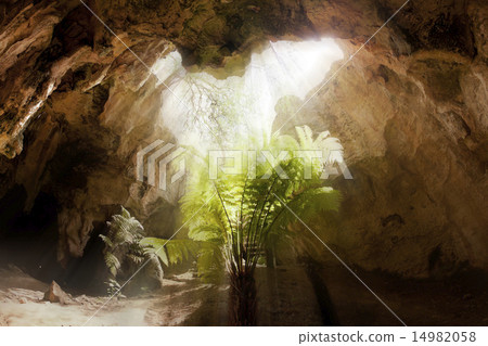 Inside a limestone cave 14982058