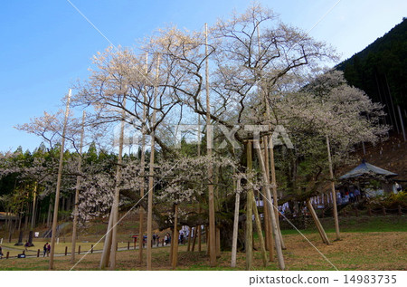 Bangkoku _ Evening（Japan_tourist_destination） 14983735