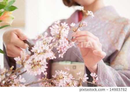 花道 插花 花藝 14983782