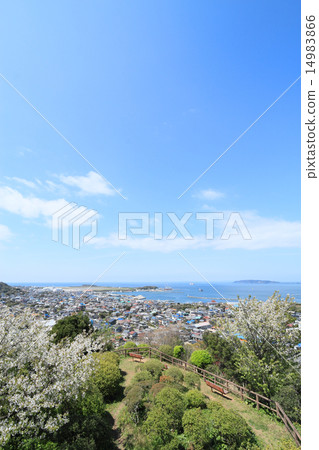 Scenery from Tateyama-Shiroyama Park 14983866