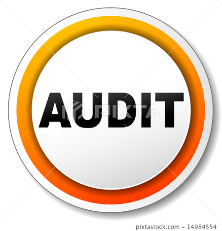 audit icon 14984554
