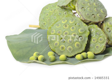 Lotus seed 14985331