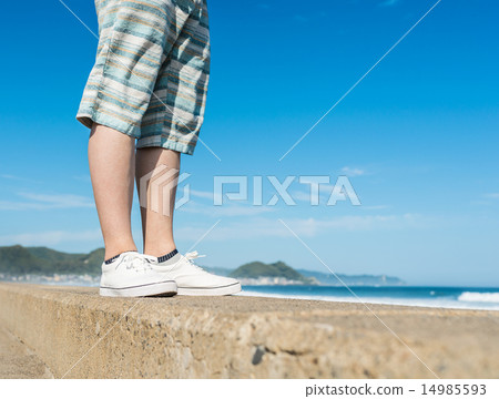 夏天的肖像 14985593