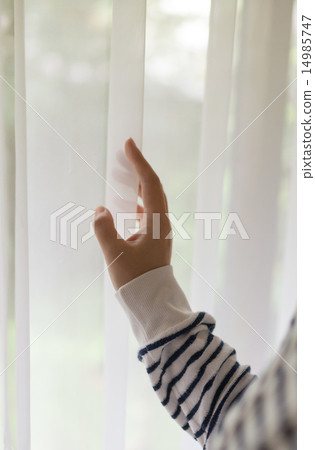 種族 14985747