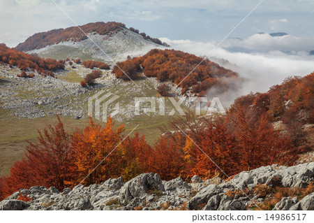 The Mehedinti Mountains 14986517