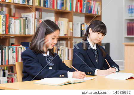 Junior high school students studying in the library 14986952