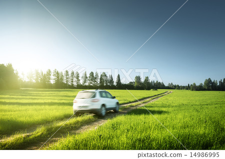 spring field and blurred car on ground road 14986995
