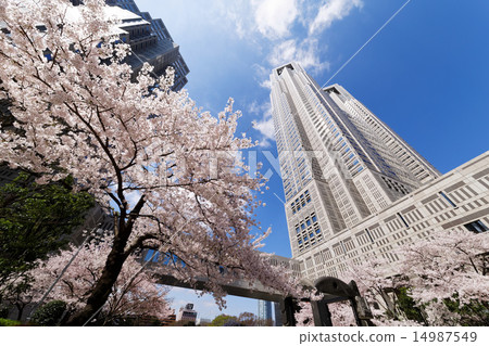 秋天的秋天和東京都政府大樓 秋天的秋天和東京都政府大樓 14987549