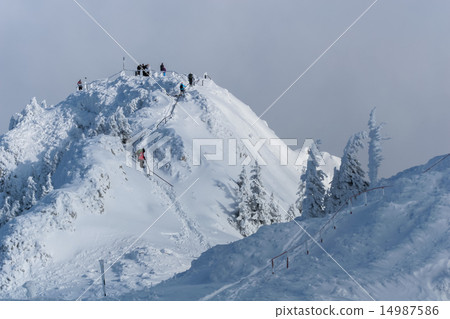 Postavaru Mountains in winter, Romania 14987586