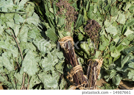 Oak and Birch Leaves for Sauna 14987661
