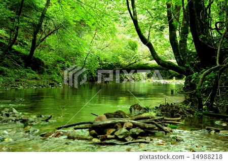 Clear stream 14988218