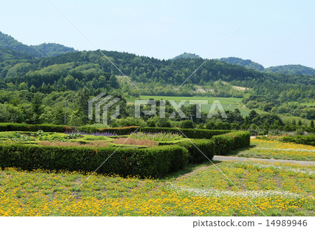北海道的Yuni花園 14989946