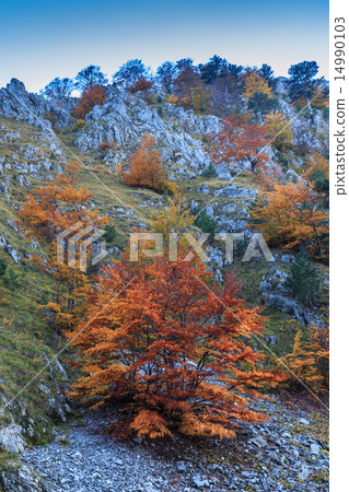 mountain landscape 14990103