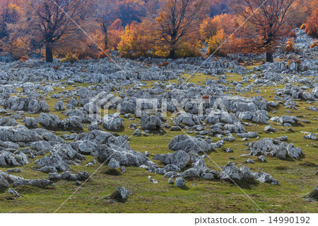 Mehedinti Mountains 14990192