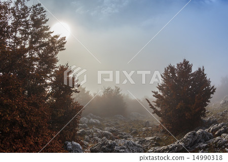 mountain landscape 14990318