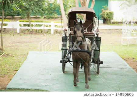 Horse cart 14990606