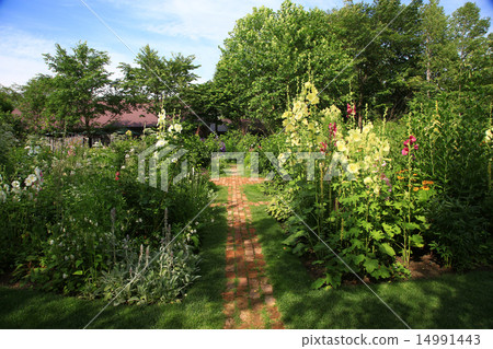 Ueno Farm, Hokkaido Ueno Farm, Hokkaido 14991443