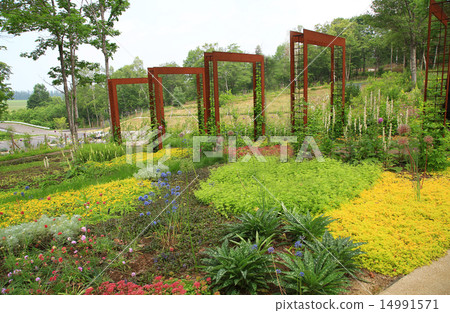 Hokkaido heavy snow forest garden Hokkaido heavy snow forest garden 14991571