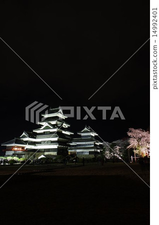 Shinshu National Treasure Matsumoto Castle Kato Kiyomasa 's piece Bridge Tsunagi cherry blossoms at night with cherry landscape Shinshu National Treasure Matsumoto Castle Kato Kiyomasa 's piece Bridge Tsunagi cherry blossoms at night with cherry landscape 14992401
