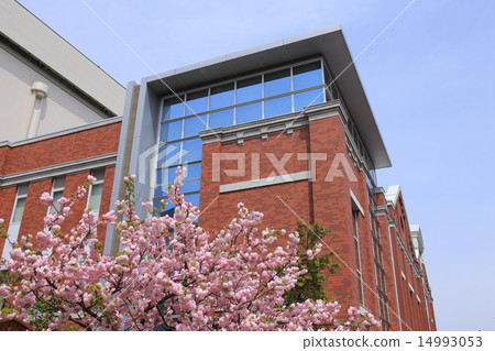 Mints · Cherry blossoms walk through Mints · Cherry blossoms walk through 14993053
