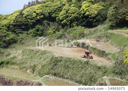 在東部的稻田梯田 在東部的稻田梯田 14993073