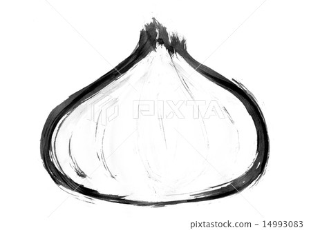 Onion 14993083