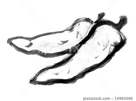 獅子胡椒 14993086