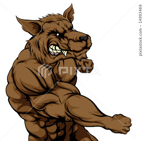 Wolf mascot fighting 14993469