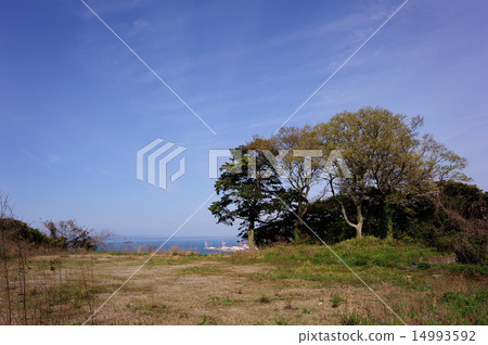 Blue sky and sea of Japanese cloth harvest park 14993592