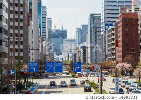 名古屋市景觀櫻田通 14993731