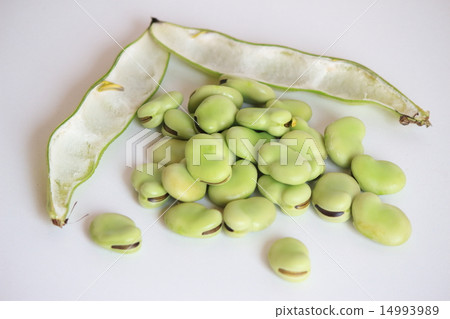 Broad beans Broad beans 14993989