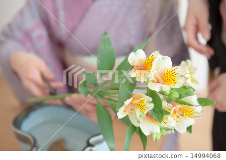 插花 花道 花藝 14994068