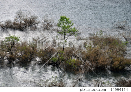 Fresh green Takaraen Lake 3 14994154