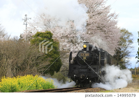 Spring Moka railway SL Spring Moka railway SL 14995079
