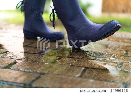 Wet day  14996158