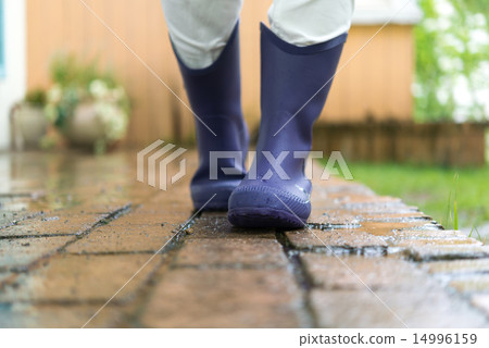 Wet day Wet day 14996159