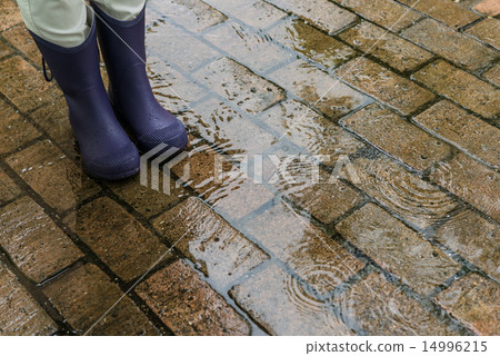 Wet day  14996215