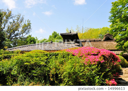 資生堂花園 14996613