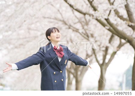 Sakura and students Sakura and students 14997055
