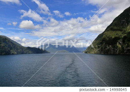 湯普森之聲 14998045