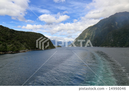 湯普森之聲 14998046