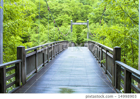 Oirase stream of fresh green 14998903