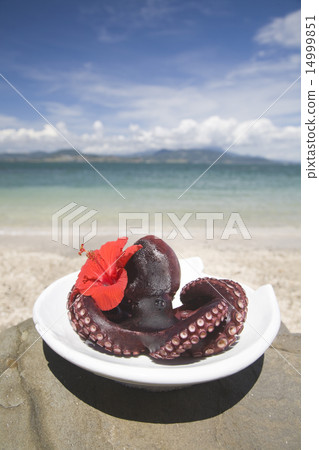 Madako and Hibiscus Madako and Hibiscus 14999851
