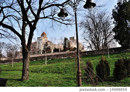 貝爾格萊德研磨 14999859