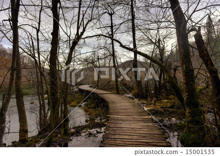Wooden path trough the lakes 15001535