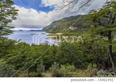 Tierra del Fuego - Argentina Tierra del Fuego - Argentina 15002391