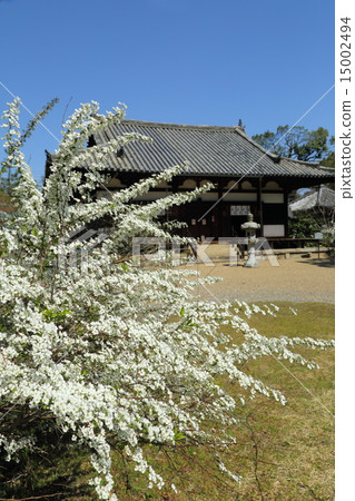 海龍王廟的Yukiyanagi 15002494