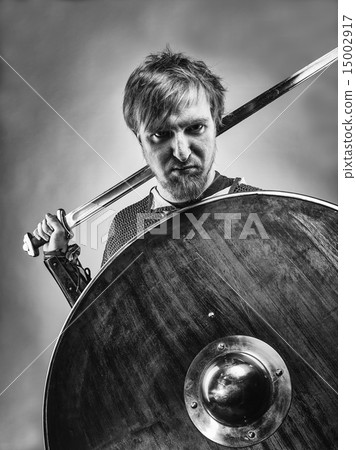 Medieval knight 15002917
